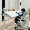 Bàn học thông minh nâng hạ điện A-12001 - Ghế DRY-A06-2