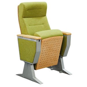 Ghế hội trượng wz818-2
